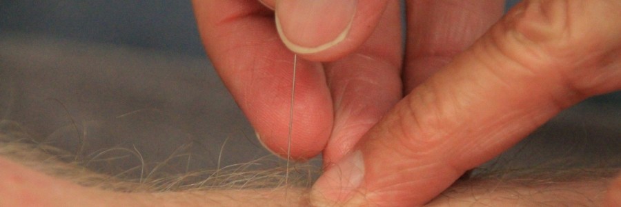 Traditionelle Chinesische Medizin (TCM)